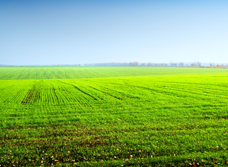 Agricultural Estate India