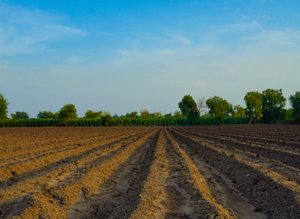 Agricultural Estate India