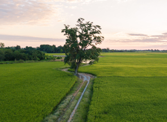 Agricultural Estate India