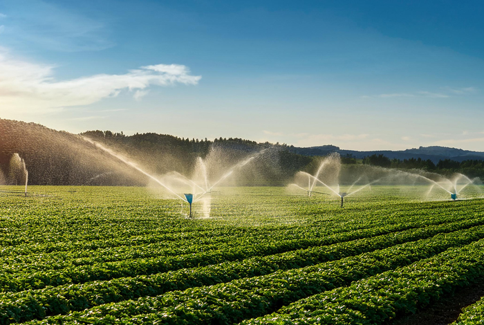 Irrigation System Suppliers-Agricultural Estate India