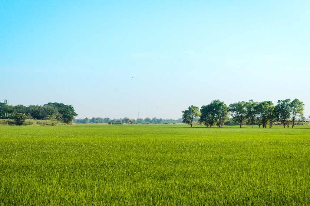 Investing in Agricultural Land in India: A Growing Opportunity